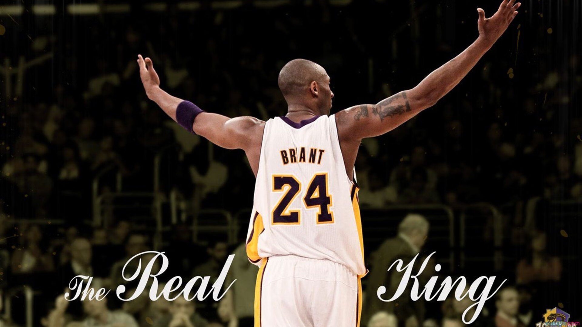 _掘金队迎来关键战役，目标冲击季后赛_，掘金队现在叫什么