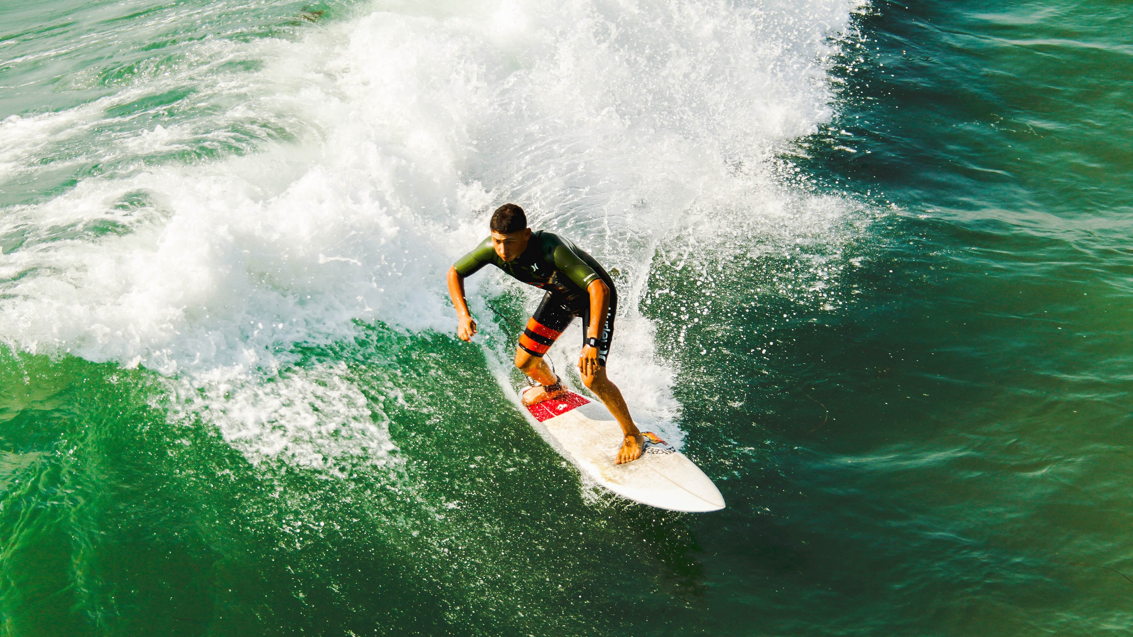 _猛龙展现坚韧，逆转战局成功_，猛龙岀击