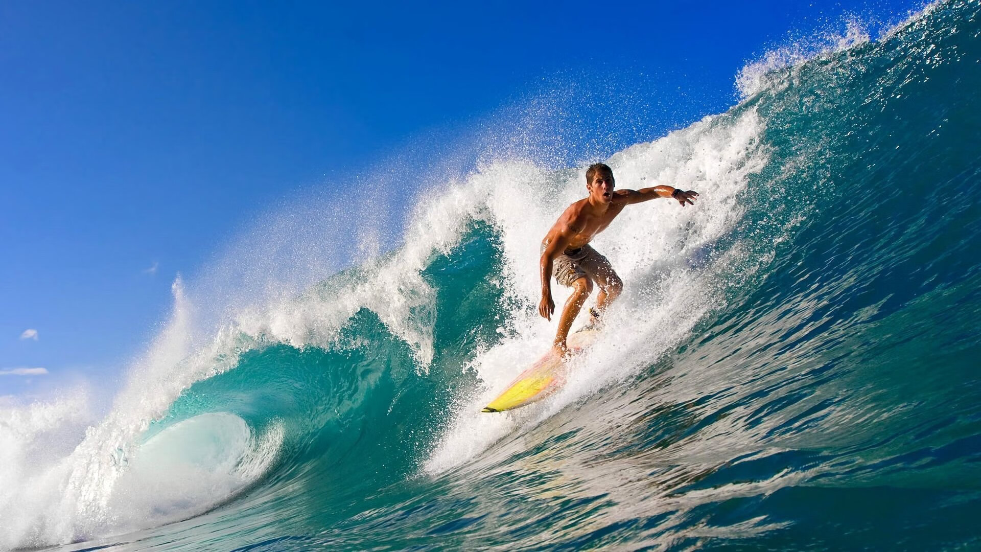 混合泳选手配速策略均衡有序,4×100混合泳